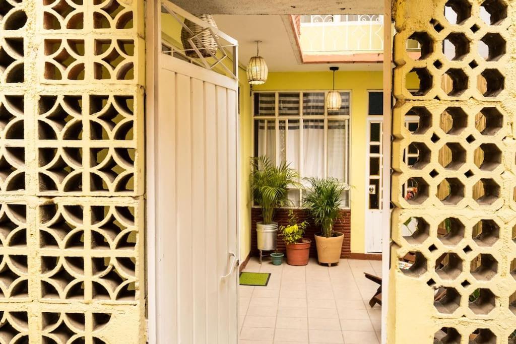 3 Bd House Steps From Santo Domingo Apartment Oaxaca Bagian luar foto